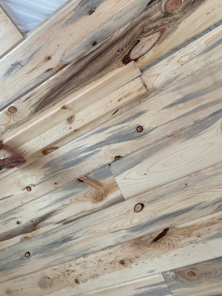 Shiplap Ceiling Ten Mile Rd, Meridian