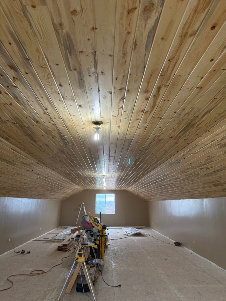 Shiplap Ceiling Meridian